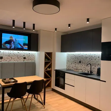 Luxurious One Bedroom In Center Apartament
